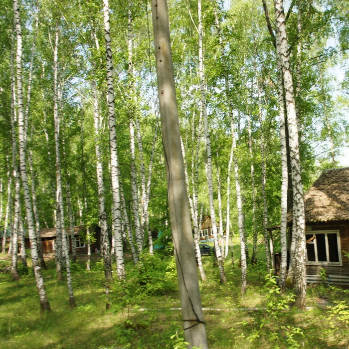 База отдыха "Айгуль" и мост — DSC04500