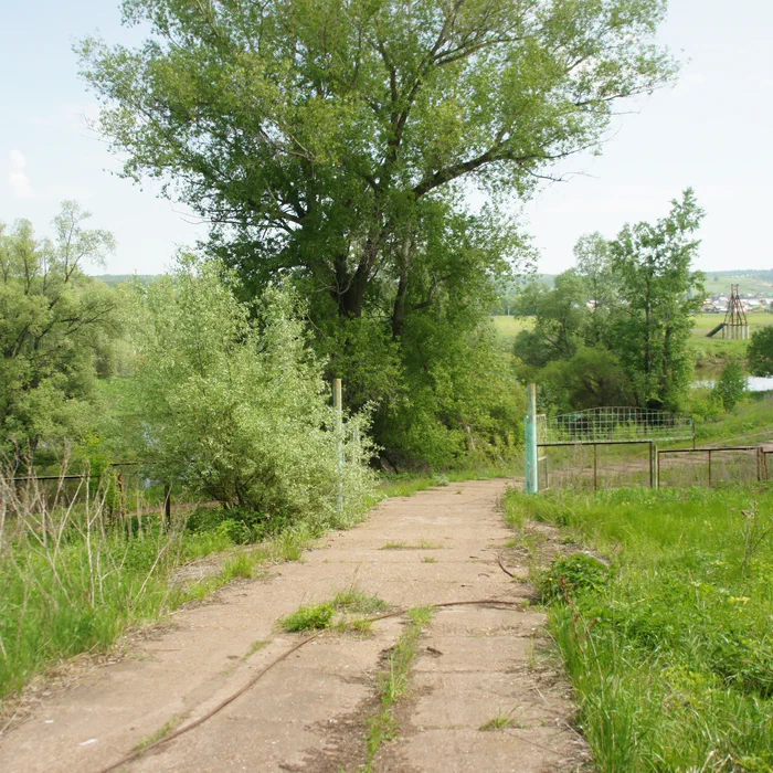 База отдыха "Айгуль" и мост — DSC04504