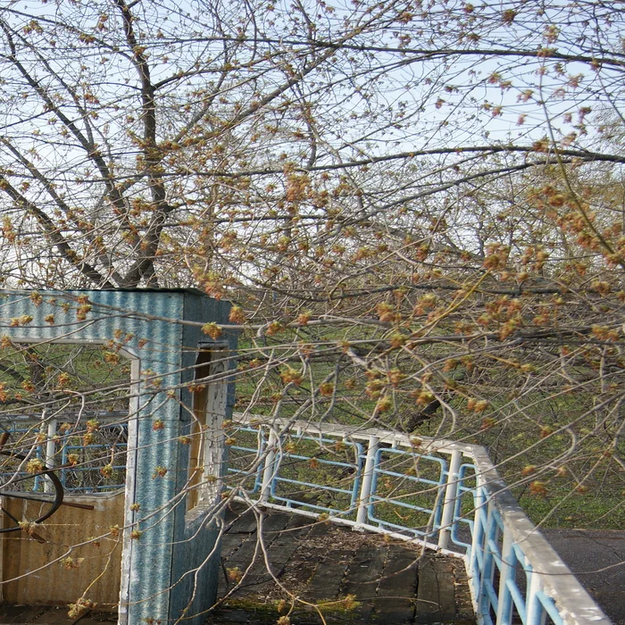 Детский лагерь "Урал" — DSC02280