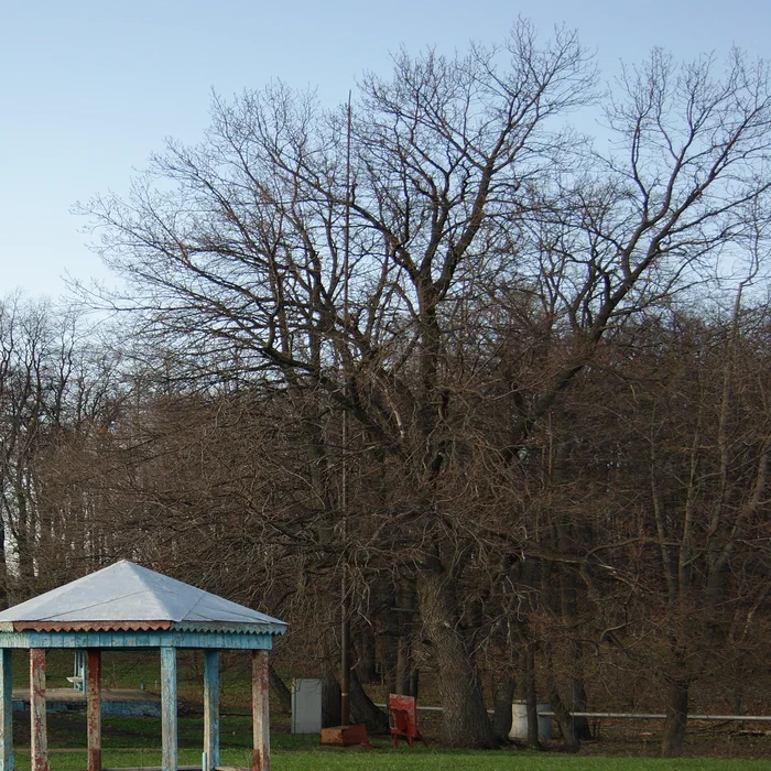 Детский лагерь "Урал" — DSC02292