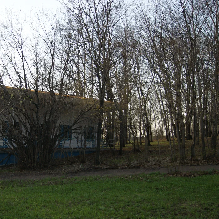 Детский лагерь "Урал" — DSC02358