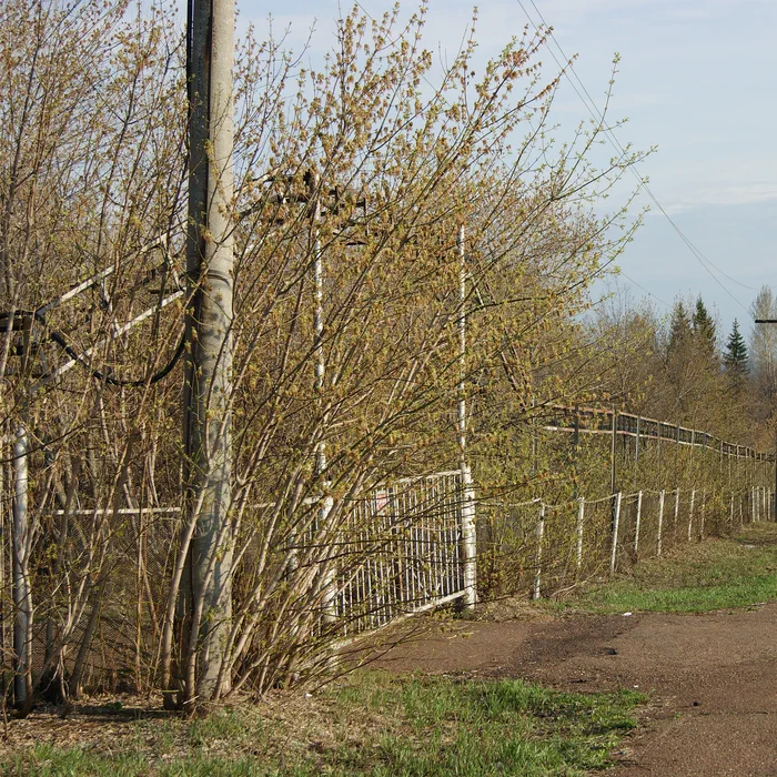 Детский лагерь "Урал" — DSC02406